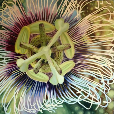 Passionfruit Flower