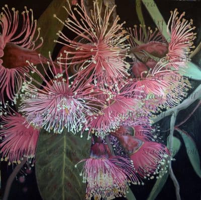 "Coral Splendor" Greeting Card
