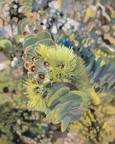 "Luminosity" Limited Edition Prints