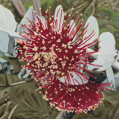 "Rubies and Gold" Limited Edition prints