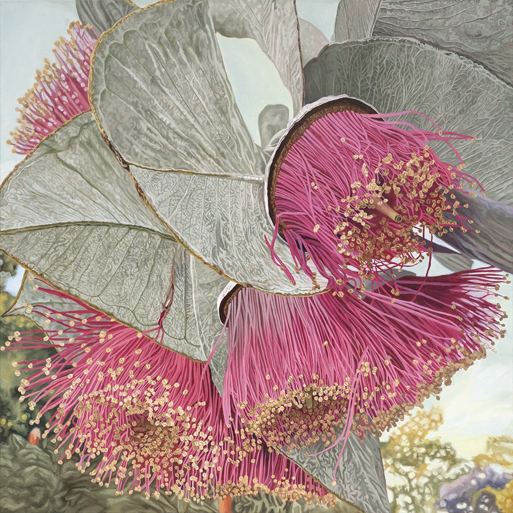 "Cascading Rhodanthas" Greeting Card