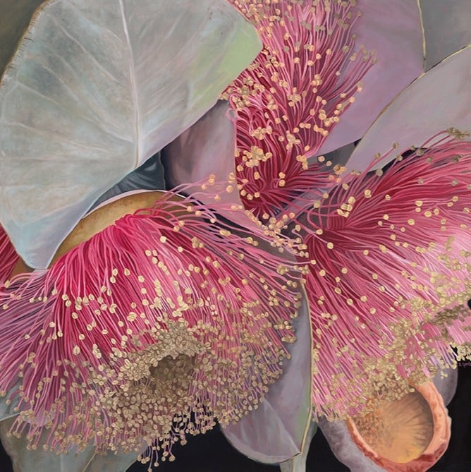 "Macrocarpa Meditation" Greeting Card