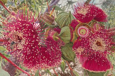 "Opulent Bouquet" Limited Edition Prints